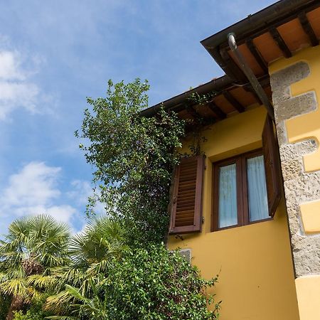 Agriturismo Le Fontanacce Pescia Extérieur photo